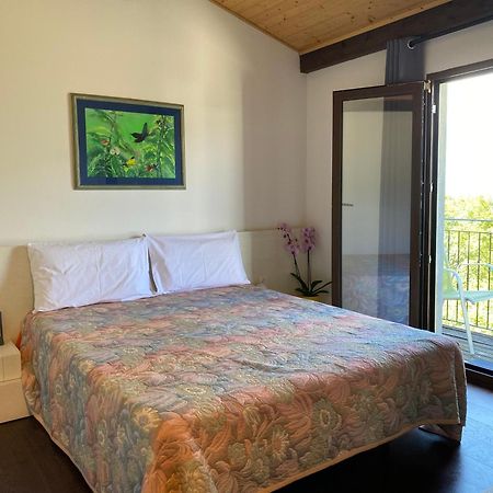 Viva Bacco Bed & Breakfast Gambarogno Eksteriør bilde