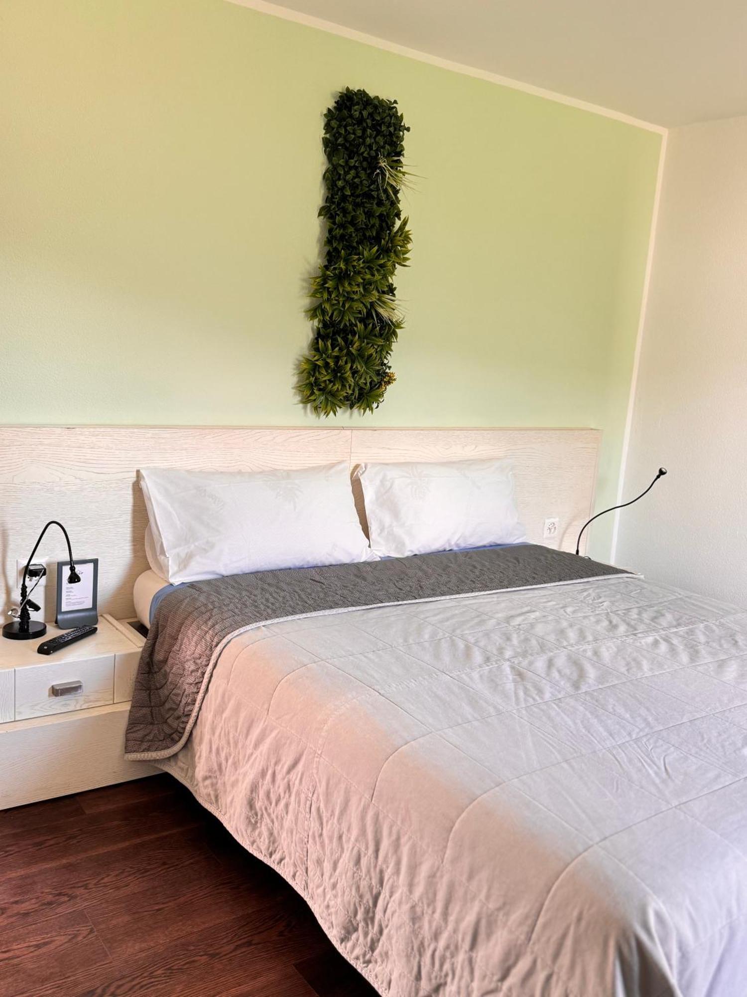 Viva Bacco Bed & Breakfast Gambarogno Eksteriør bilde