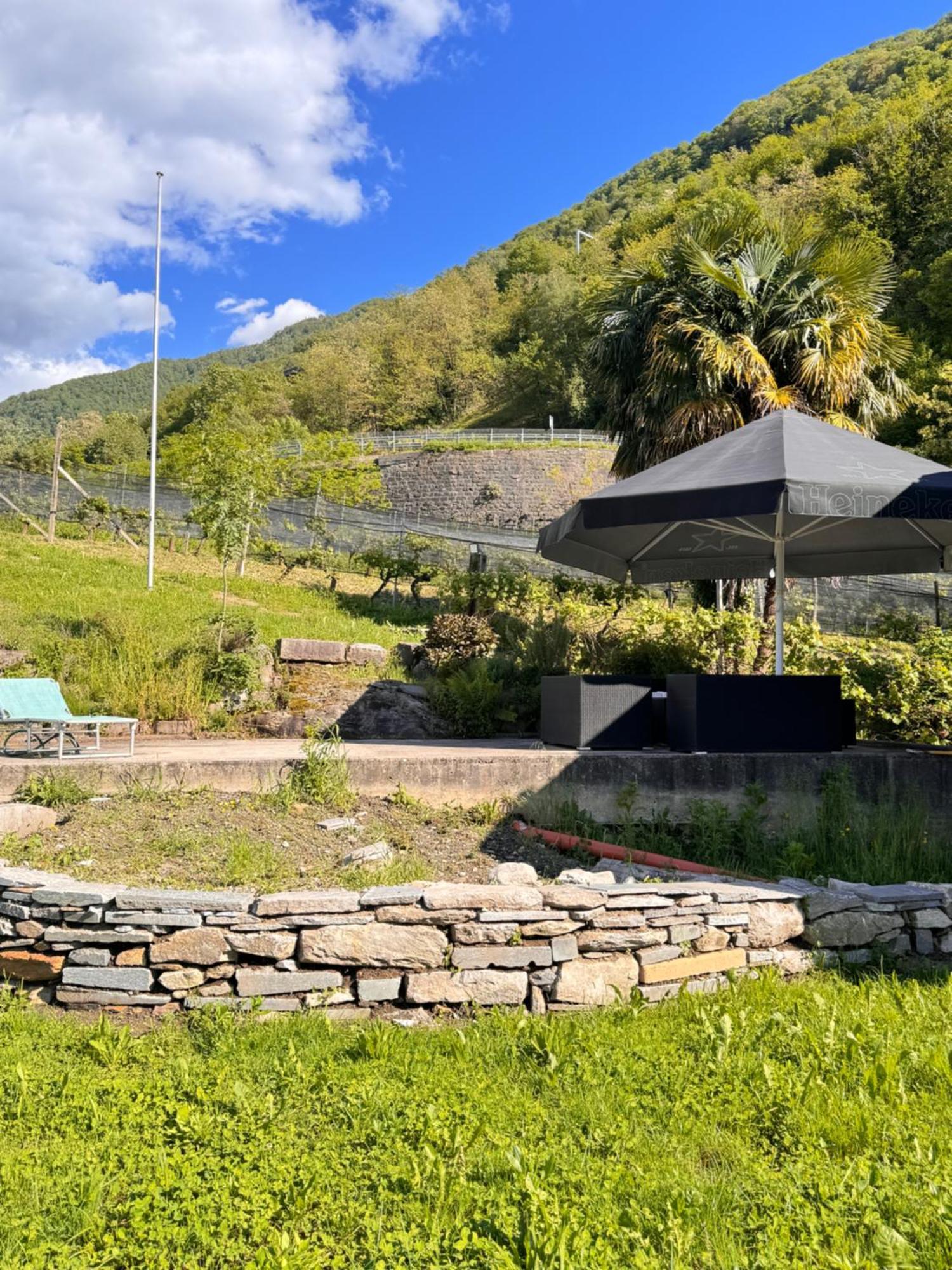 Viva Bacco Bed & Breakfast Gambarogno Eksteriør bilde