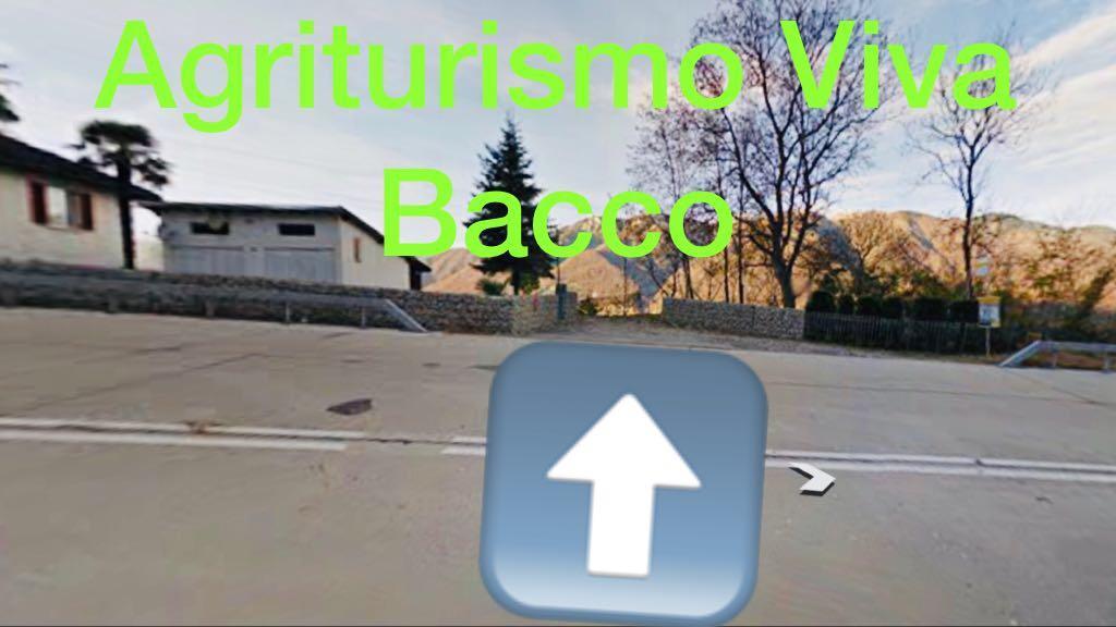 Viva Bacco Bed & Breakfast Gambarogno Eksteriør bilde